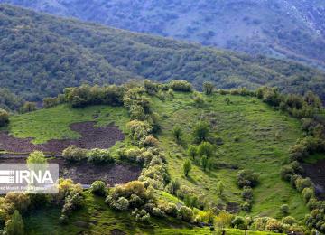 Zagros Forests Under Threat