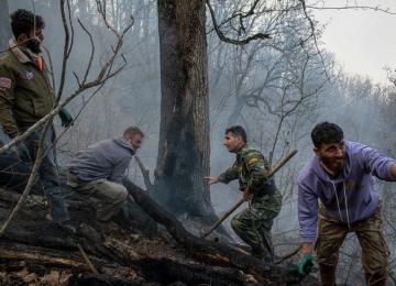 Massive Firefighting Efforts Launched as Wildfire Rages in Iran’s Hyrcanian Forests